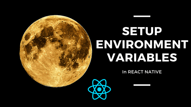 Environment Variables in ReactJS.